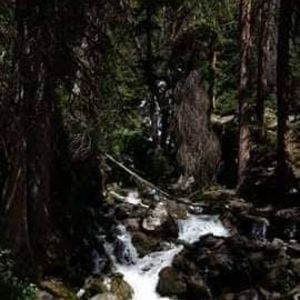 Meet your Posher, Janelle